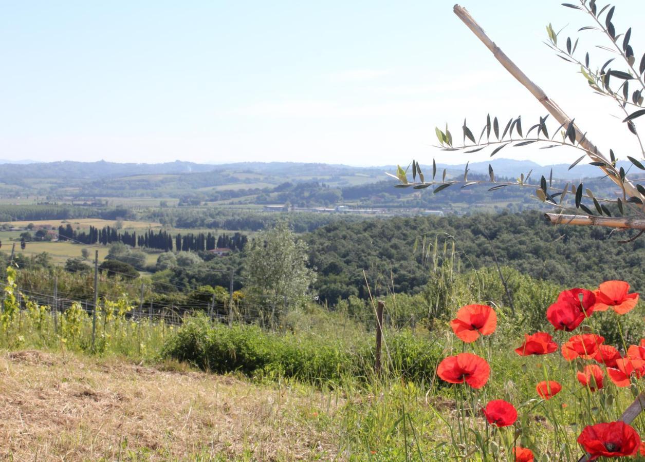 Tuscany Life Terricciola Buitenkant foto